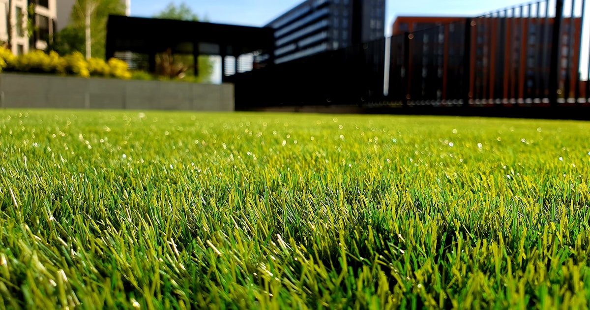 Gartenpflege für Hausmeister — Grundlagen, Jahresplan und Praxistipps